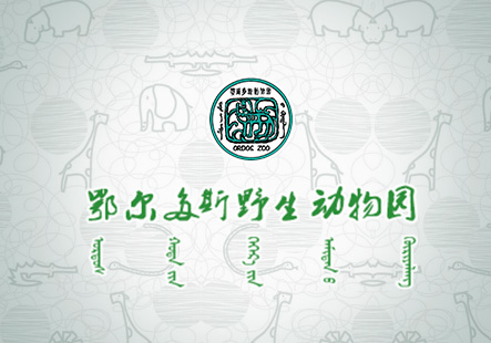 案例_内蒙古软件开发定制_鄂尔多斯AG真人国际科技_内蒙古网站专业网站设计_AG真人国际